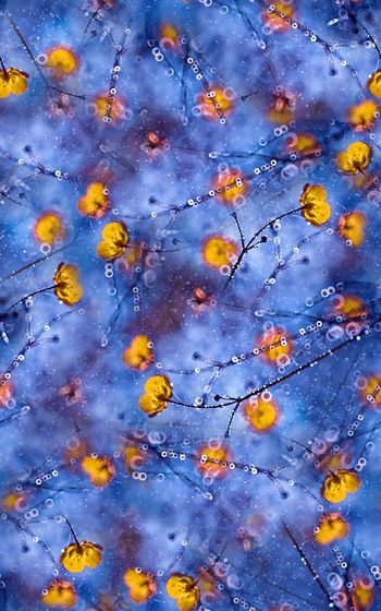 1022675-20180305-1404