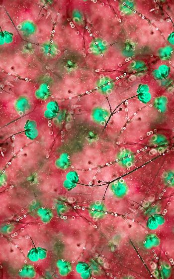 1022676-20180305-1404-1