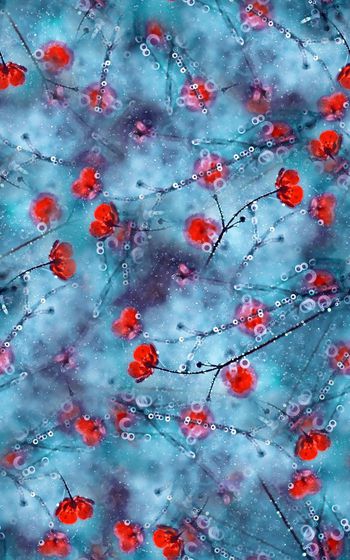 1022677-20180305-1404-2