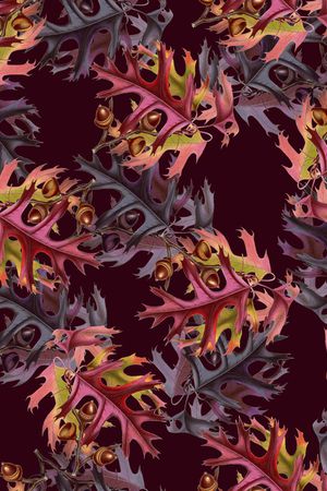 黑底花卉印花华亿平台图片