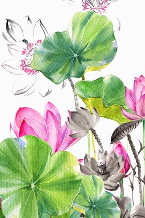 女装印花华亿平台图片