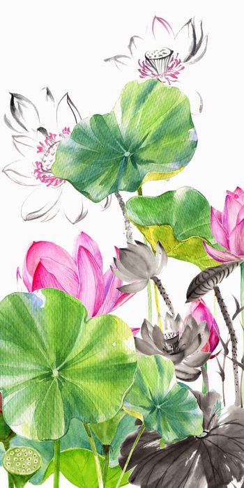 女装印花华亿平台图片