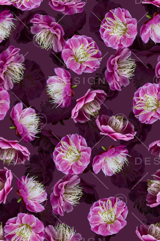 大花印花华亿平台图片