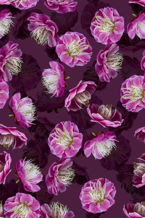 大花印花华亿平台图片