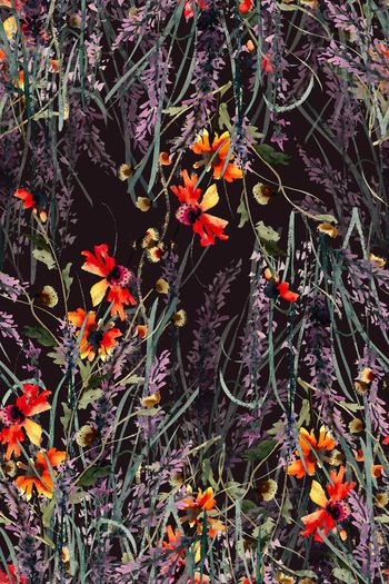 1024300-薰衣草与小红花1