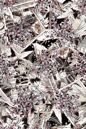 数码华亿平台印花华亿平台图片