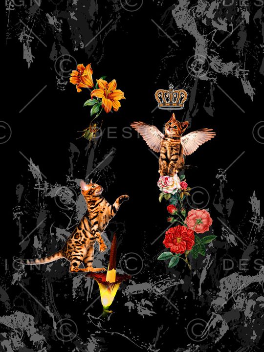 男装印花华亿平台图片