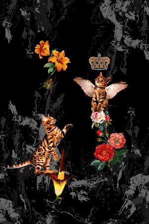 男装印花华亿平台图片