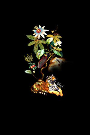 男装印花华亿平台图片