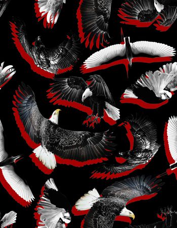 动物印花华亿平台图片