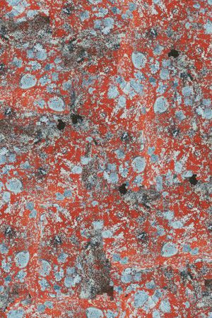 肌理印花华亿平台图片