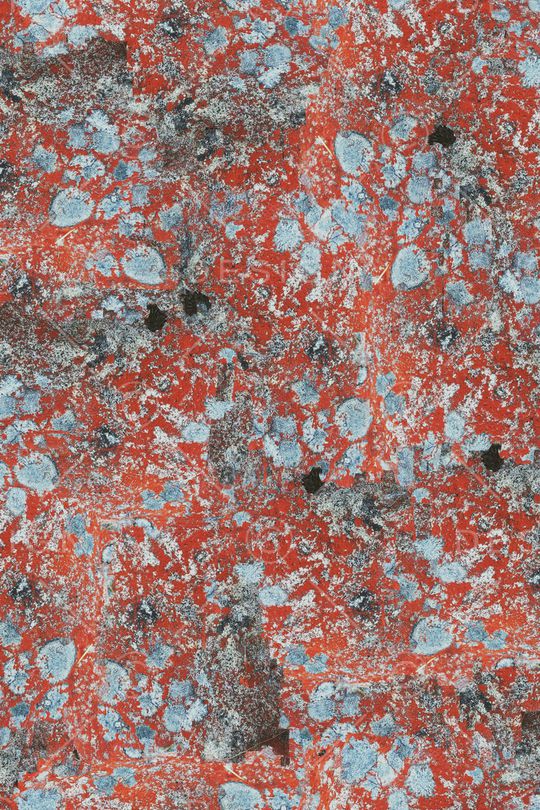 肌理印花华亿平台图片