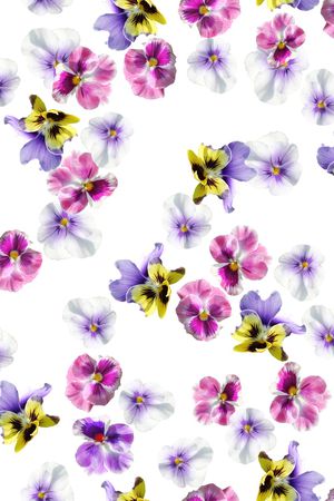 女装印花华亿平台图片