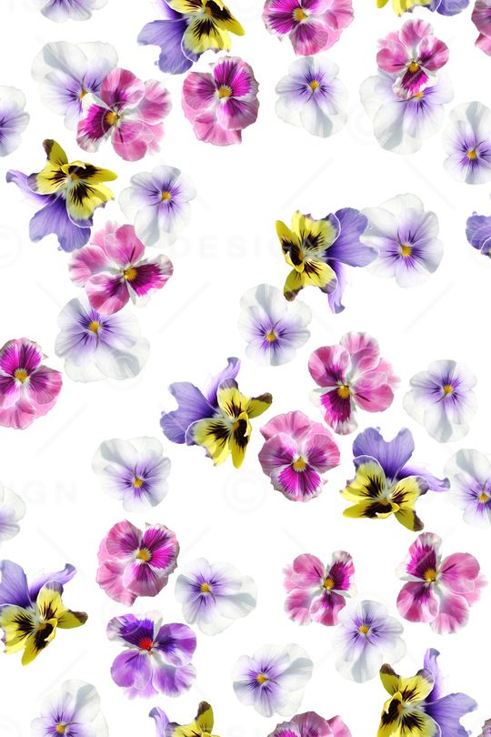 女装印花华亿平台图片