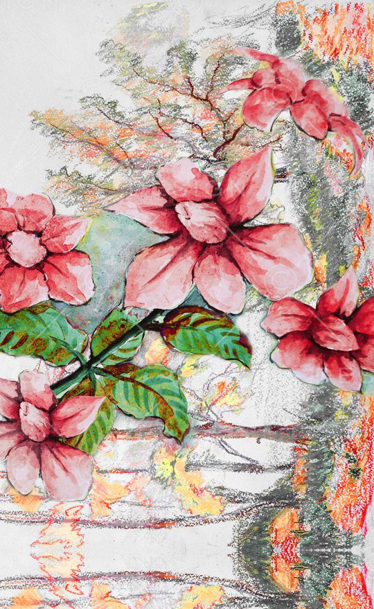 大花印花华亿平台图片