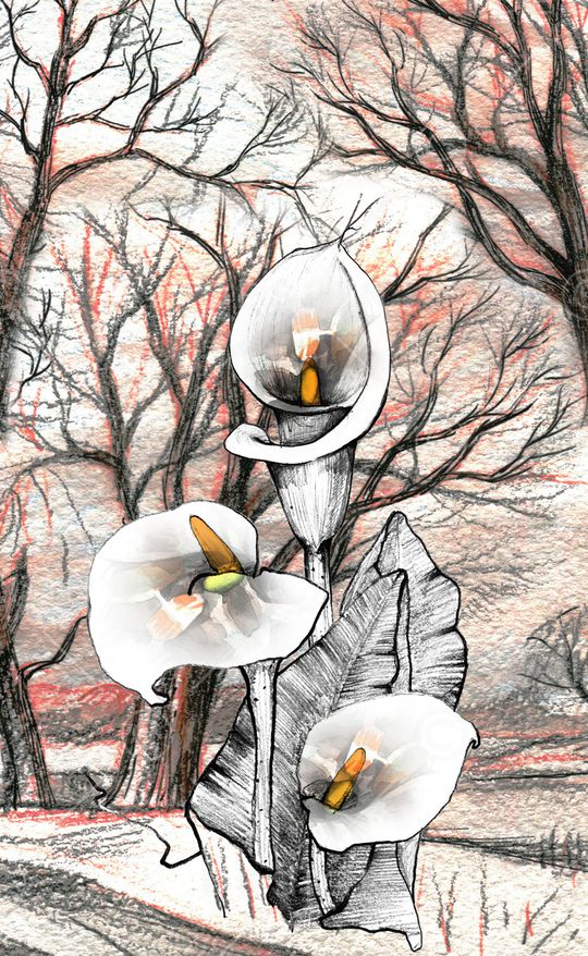 民族风印花华亿平台图片