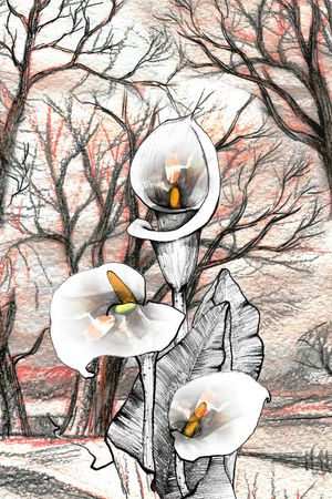 民族风印花华亿平台图片