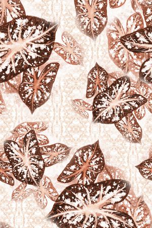 肌理印花华亿平台图片