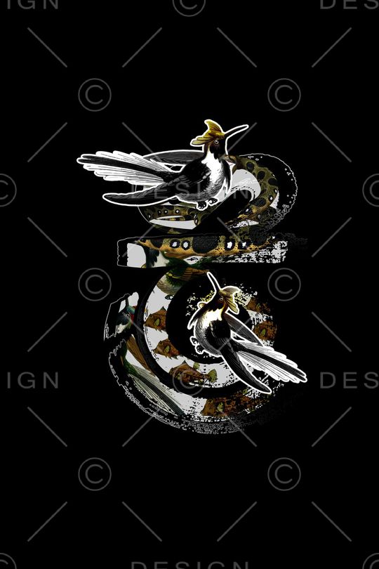 卡通印花华亿平台图片