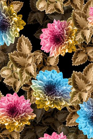 大花印花华亿平台图片