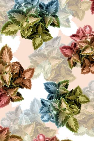 数码华亿平台印花华亿平台图片