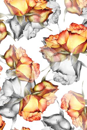 淑女印花华亿平台图片