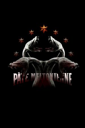 卡通印花华亿平台图片