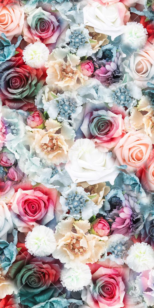 淑女印花华亿平台图片