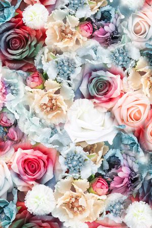 淑女印花华亿平台图片