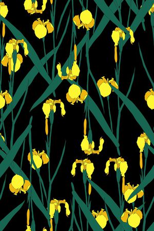 鸢尾花印花华亿平台图片