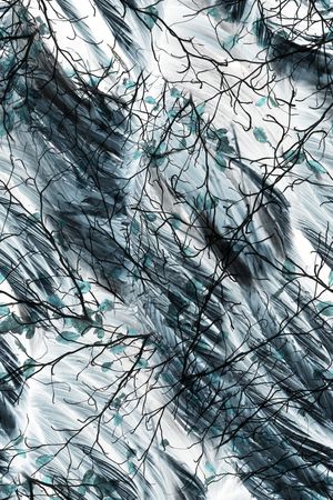 大牌风印花华亿平台图片