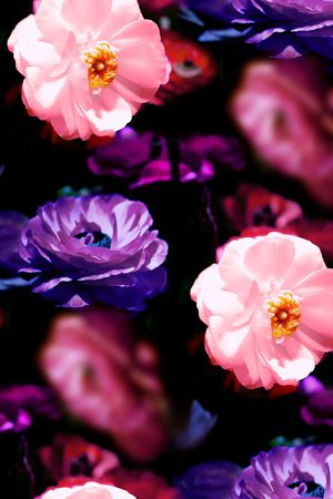 数码华亿平台印花华亿平台图片