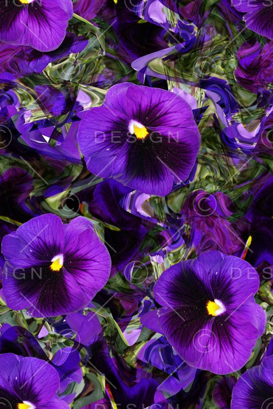 大花印花华亿平台图片