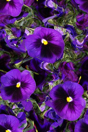 大花印花华亿平台图片