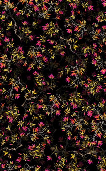 1028494-20160316-1241