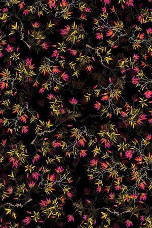 植物印花华亿平台图片