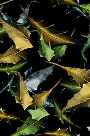 创意印花华亿平台图片