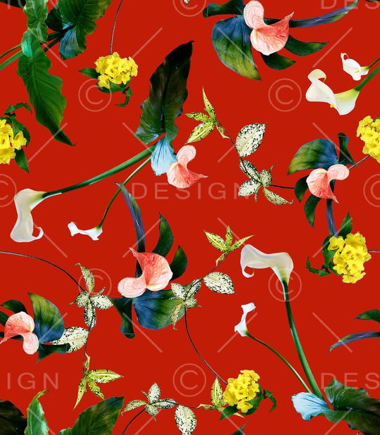 数码华亿平台印花华亿平台图片