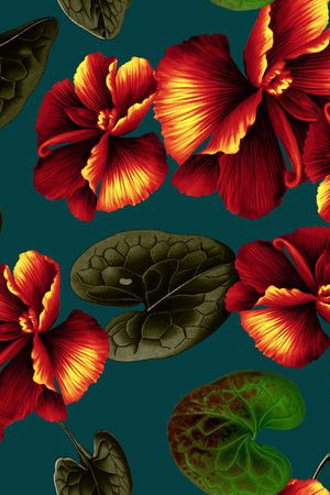 创意印花华亿平台图片