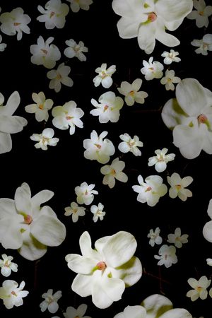 中老年印花华亿平台图片