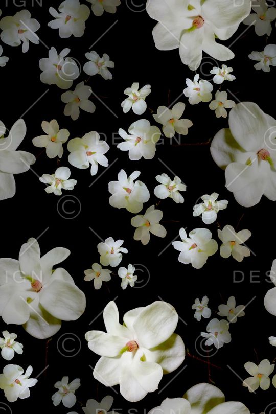 中老年印花华亿平台图片