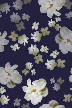 中老年印花华亿平台图片