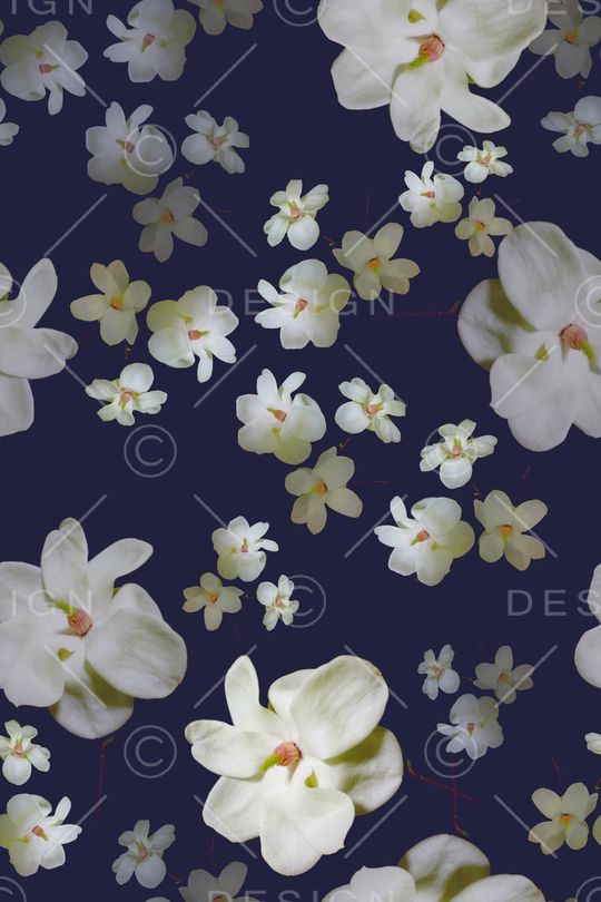 中老年印花华亿平台图片