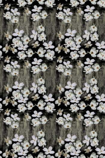 1028949-180316-ylhy-2-00