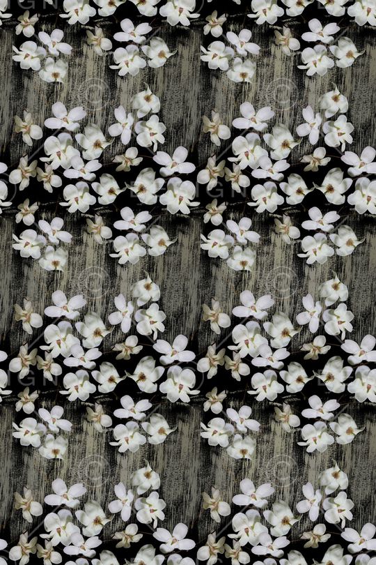 玉兰花印花华亿平台图片