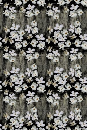 玉兰花印花华亿平台图片