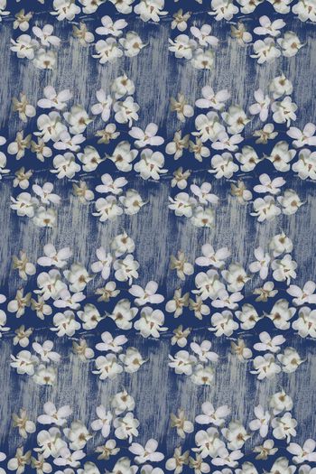 1028950-180316-ylhy-2-2