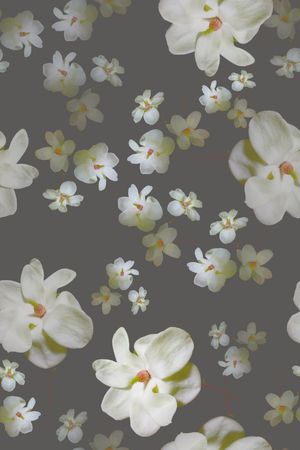 中老年印花华亿平台图片