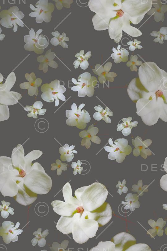 中老年印花华亿平台图片