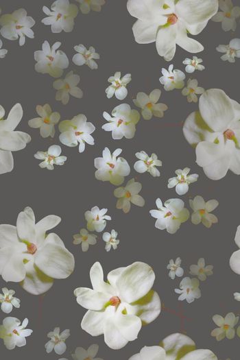 1028953-180316-ylhy-1-3